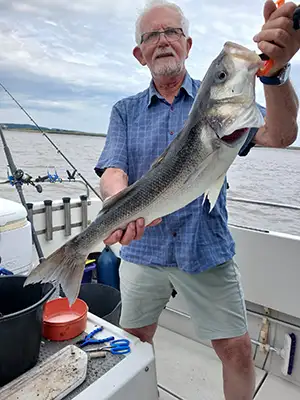 Bass