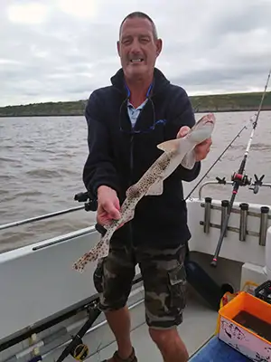 Dogfish
