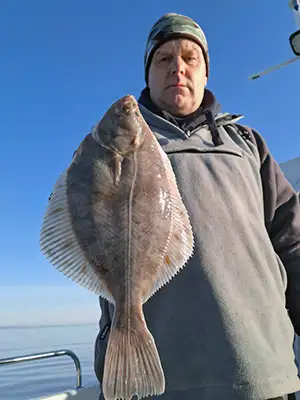 Flounder