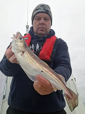 Whiting